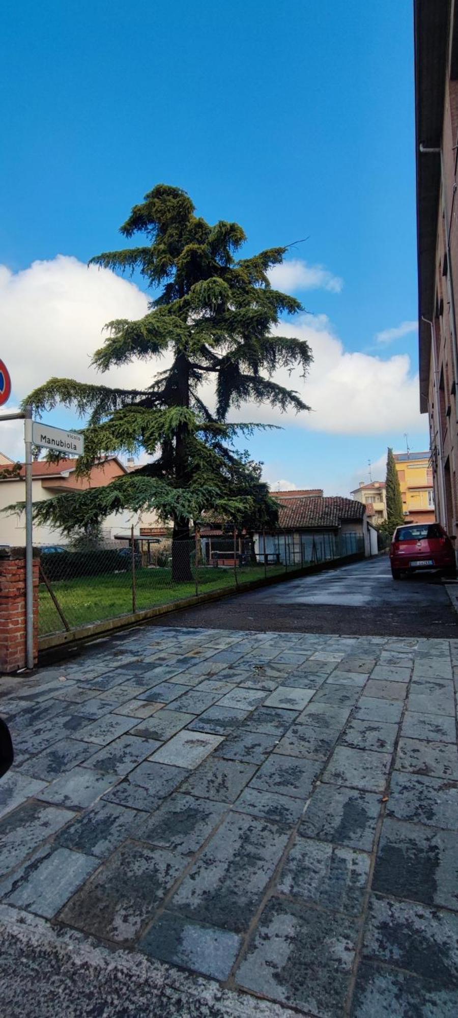 La Porta Verde 8 Collecchio Luaran gambar